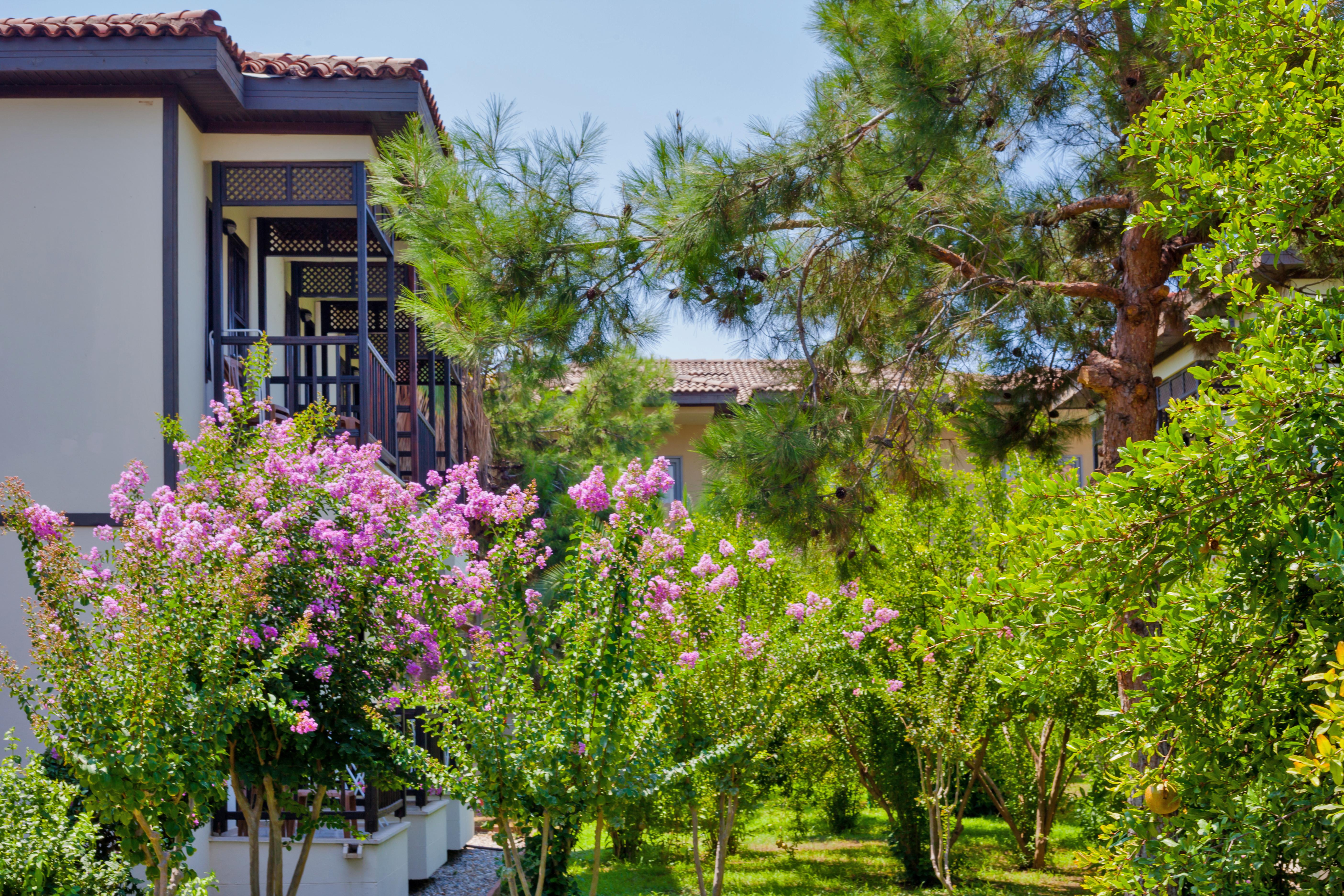 Club Nena Otel Kızılağaç Dış mekan fotoğraf